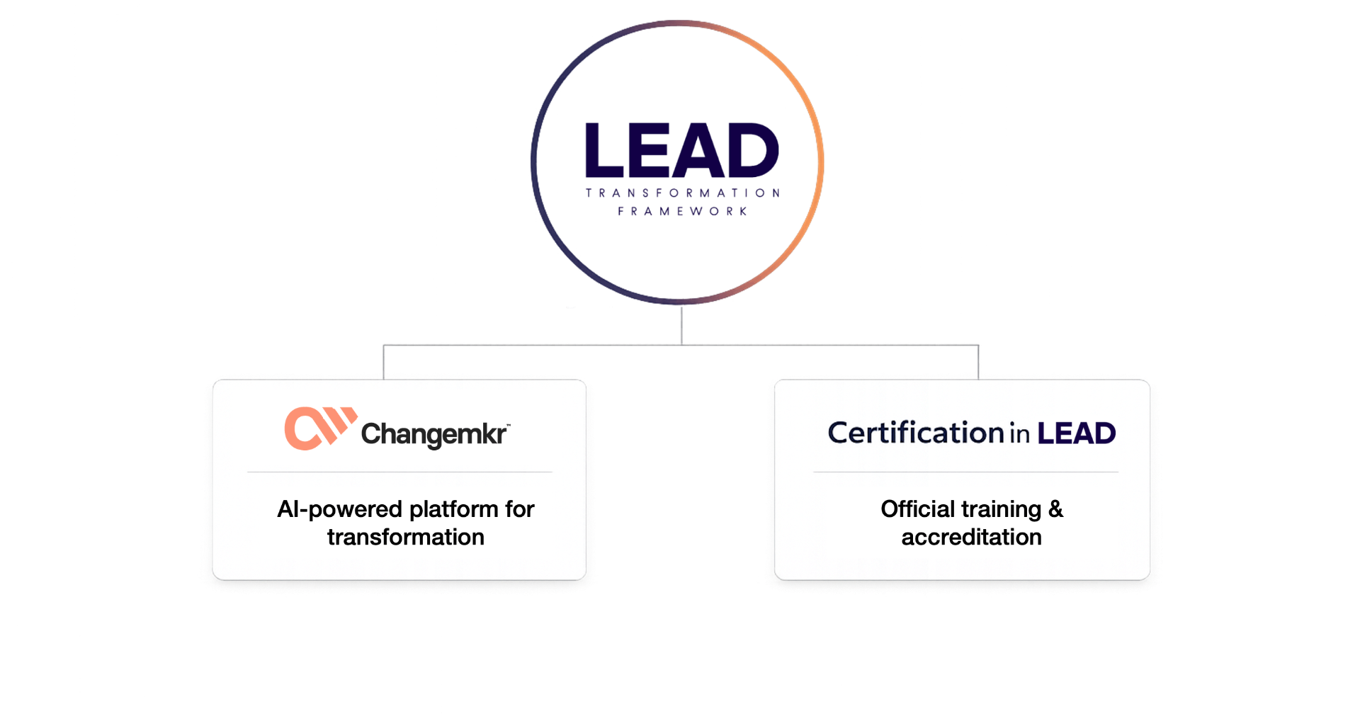 LEAD Transformation Framework – Learn, Engage, Analyze, Drive
